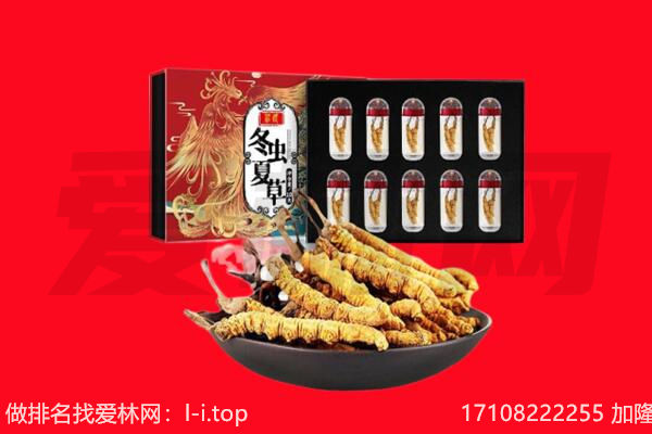 桐城市回收虫草.jpg